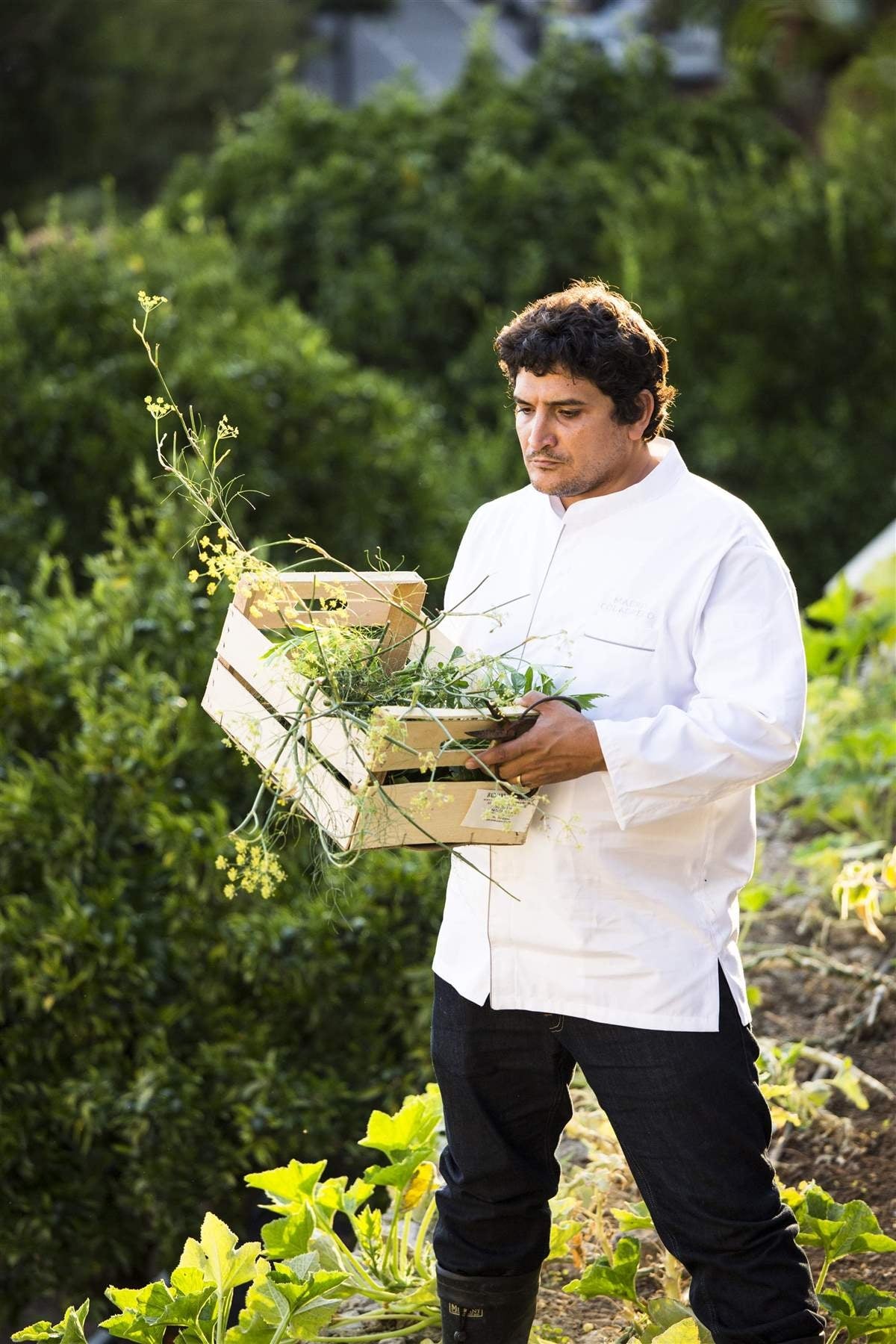 www.minutoneuquen.com gastrosustentable3