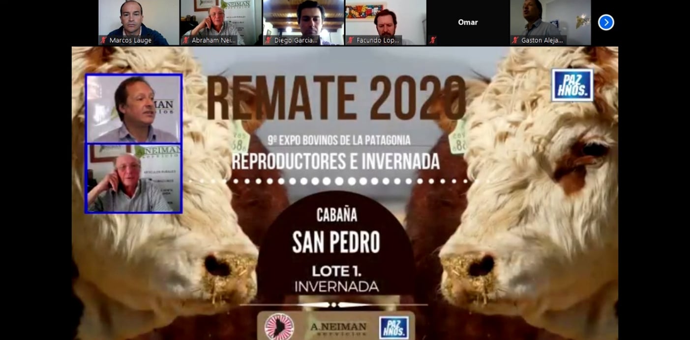 WEB-Gutiérrez-junto-a-autoridades-provinciales-participaron-de-la-apertura-de-la-9°-Expo-Bovinos-del-Neuquén-6