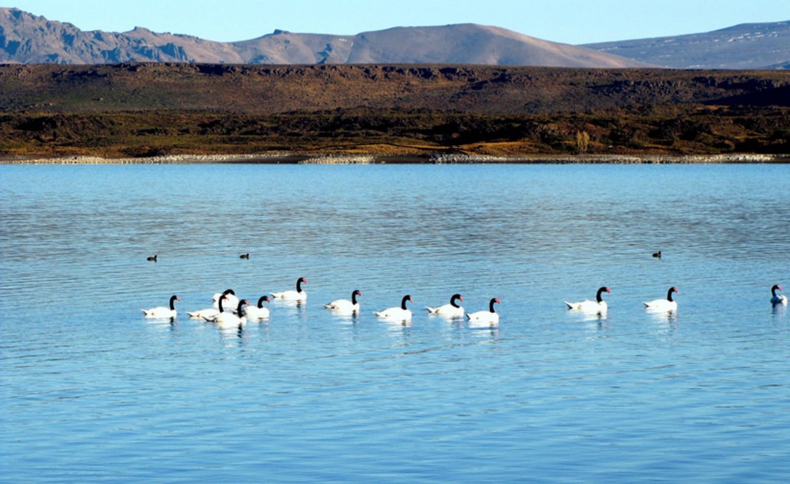 laguna-blanca-1
