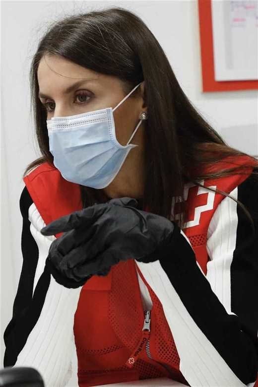 reina-letizia_c5594da8_520x780