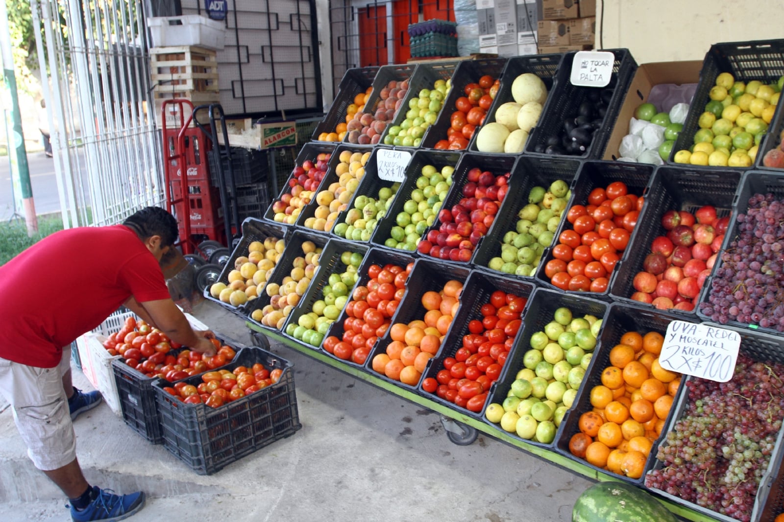 1582283858460frutas y verduras