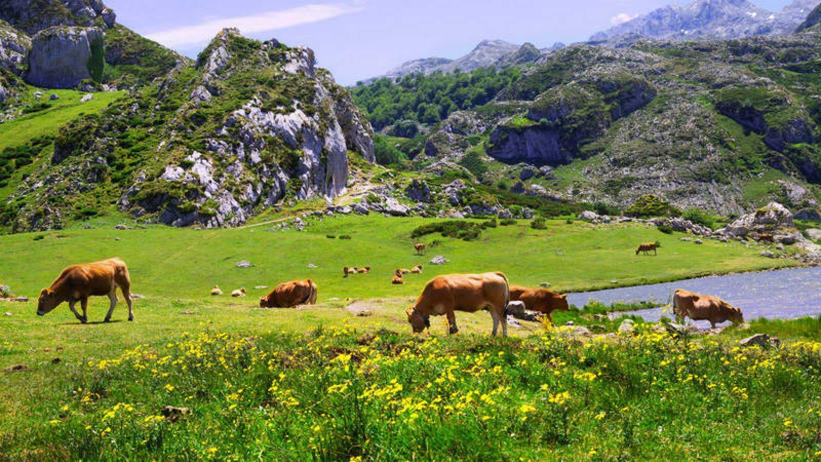 www.minutoneuquen.com turismo rural00