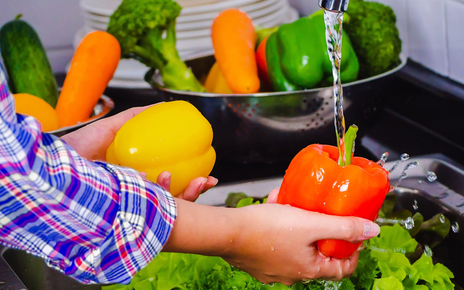 Curso-Manipuladores-de-Alimento