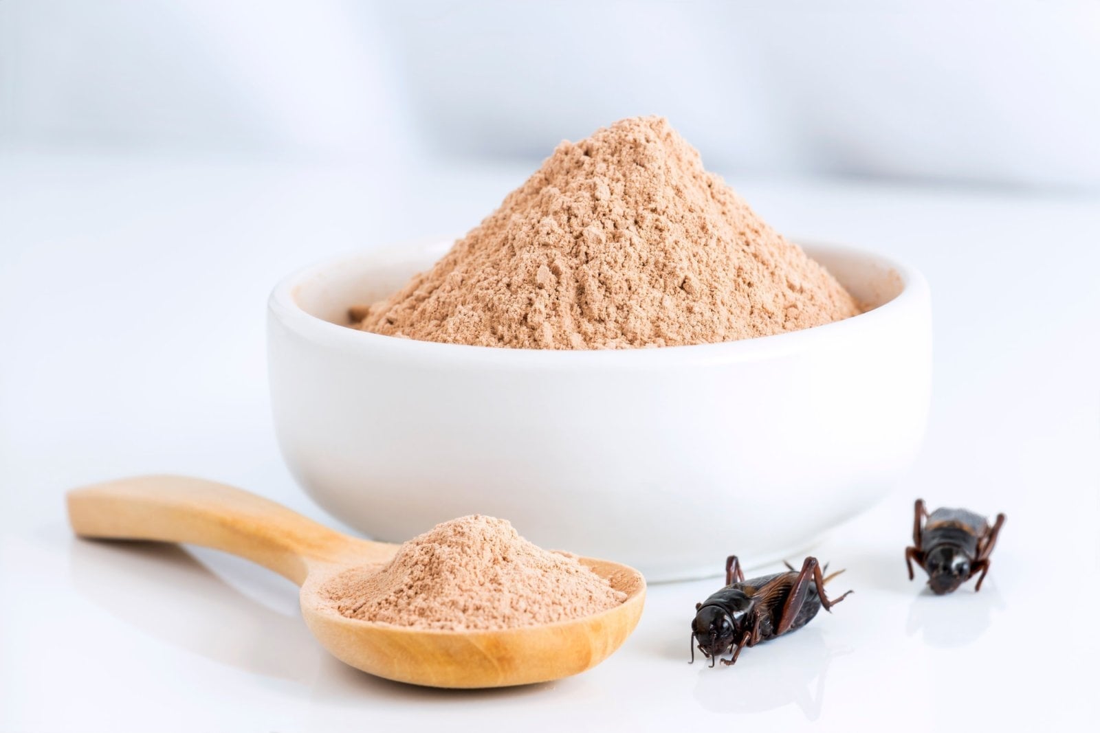 www.minutoneuquen.com alimentos00
