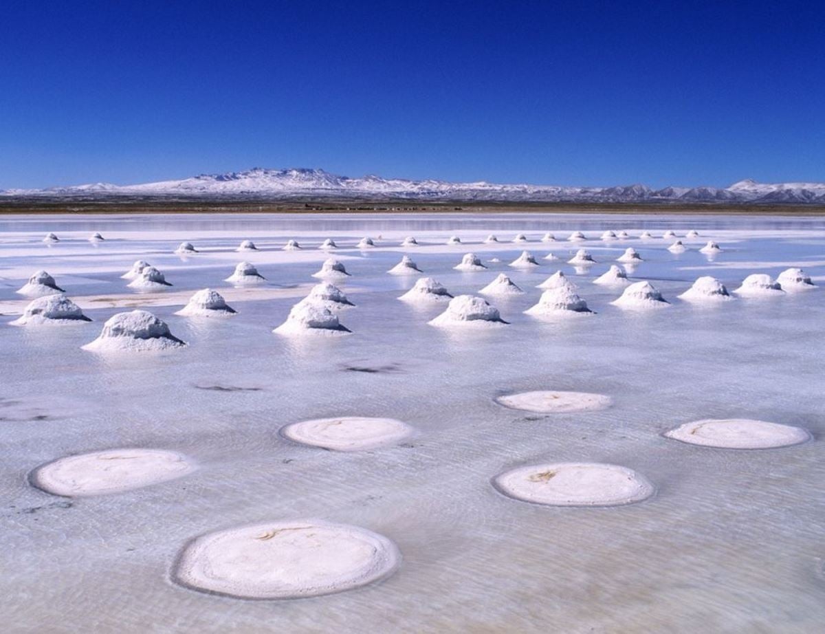 www.minutoneuquen.com monumentosnaturales2