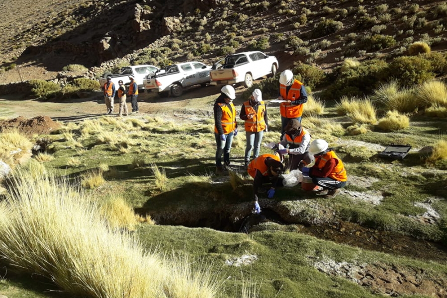 salta mineria