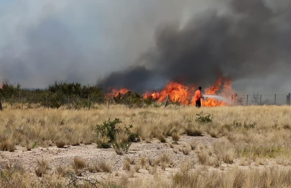 www.minutoneuquen.com incendio 2