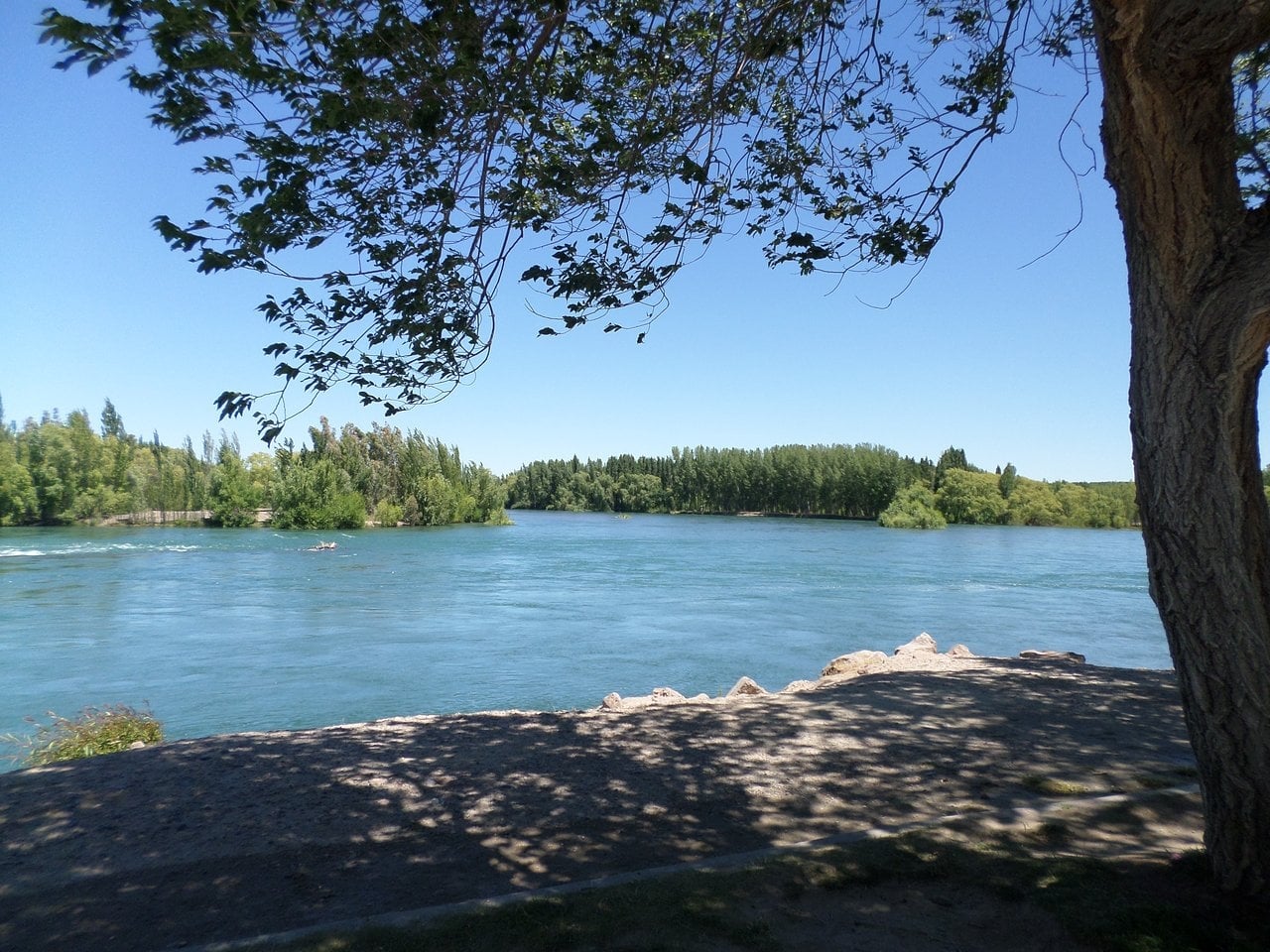 rio nqn1