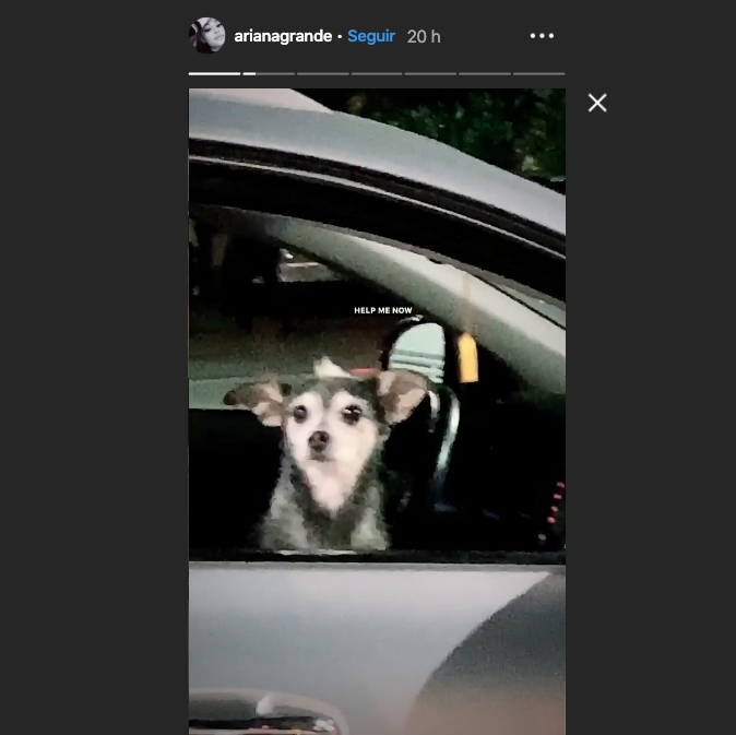 Ferggie