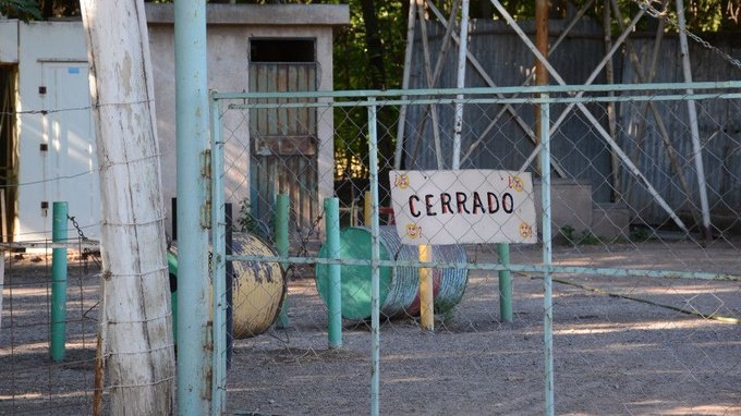 animales 1
