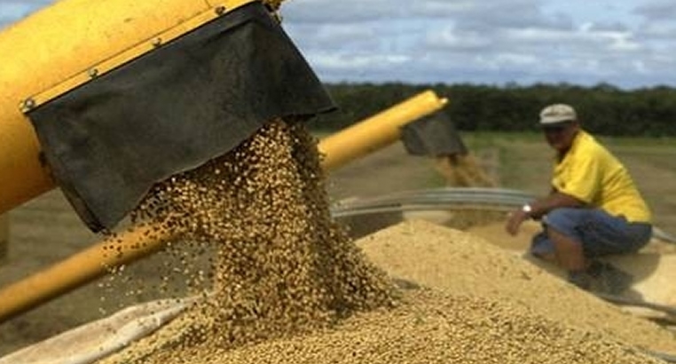 producción-sojera-py