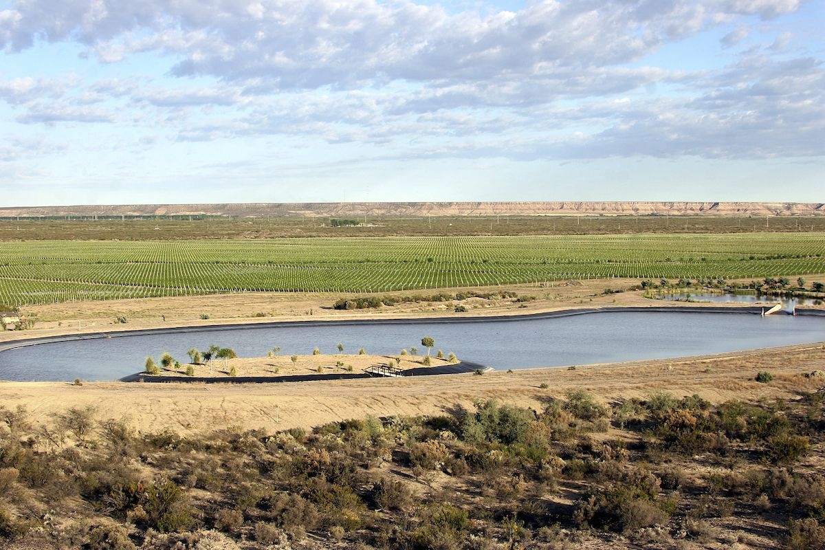 bodega del desierto ok apertua