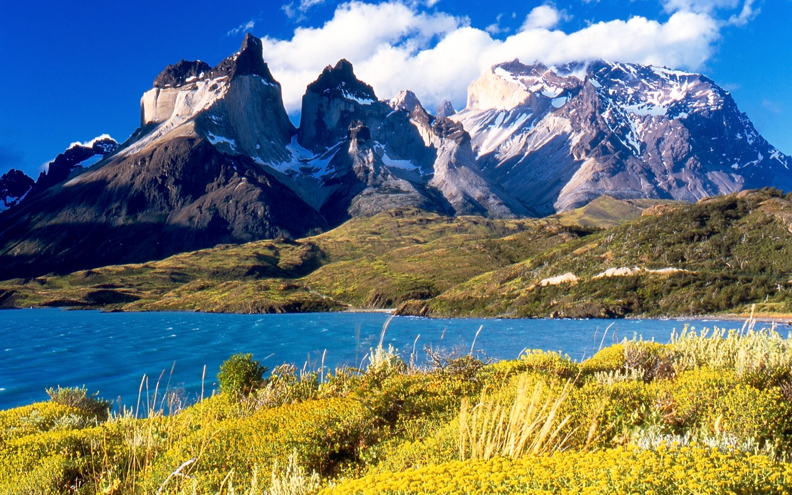 patagonia aperturea