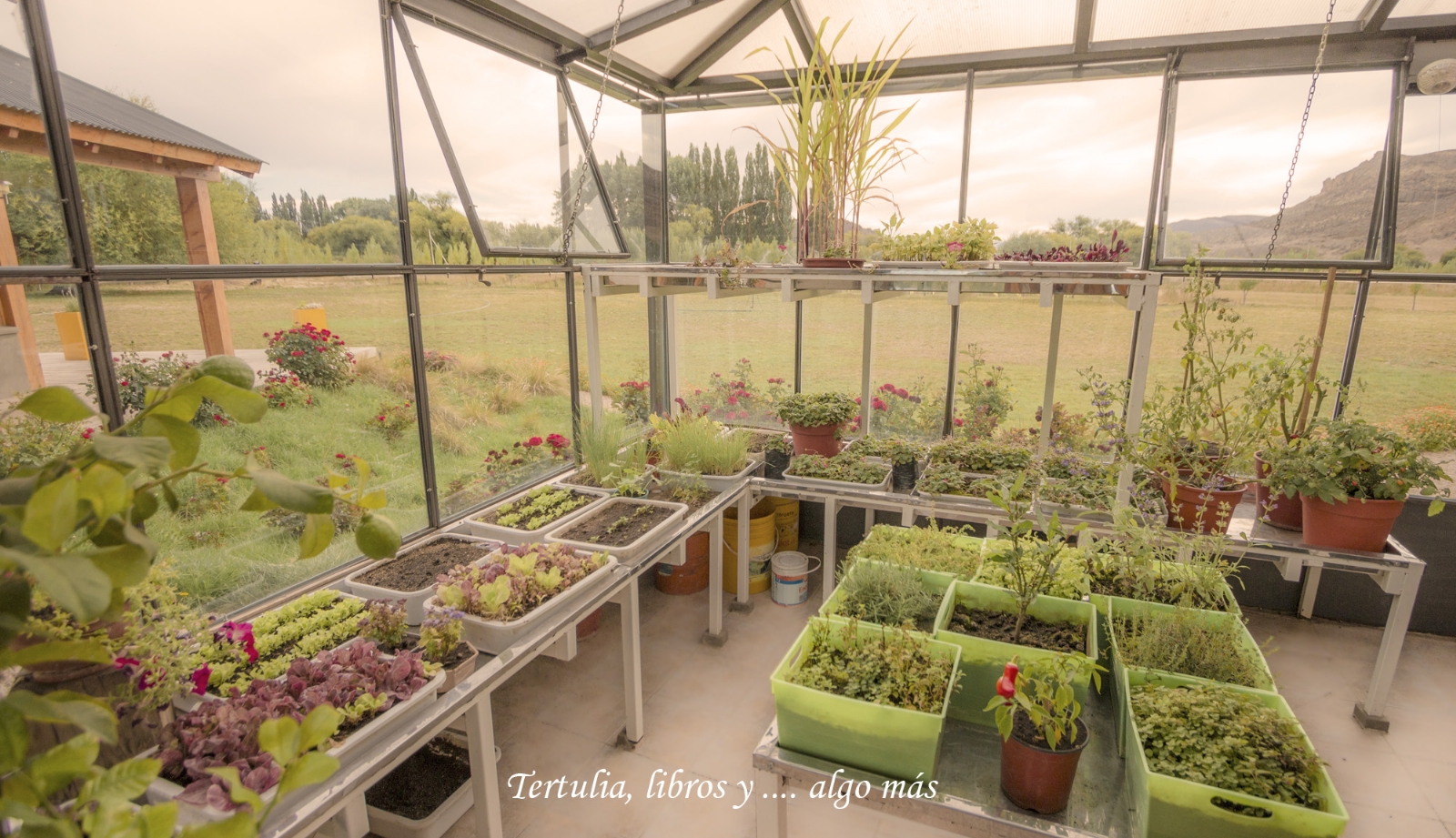 Huerta vidriada Gualjaina
