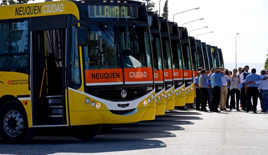 colectivosportada