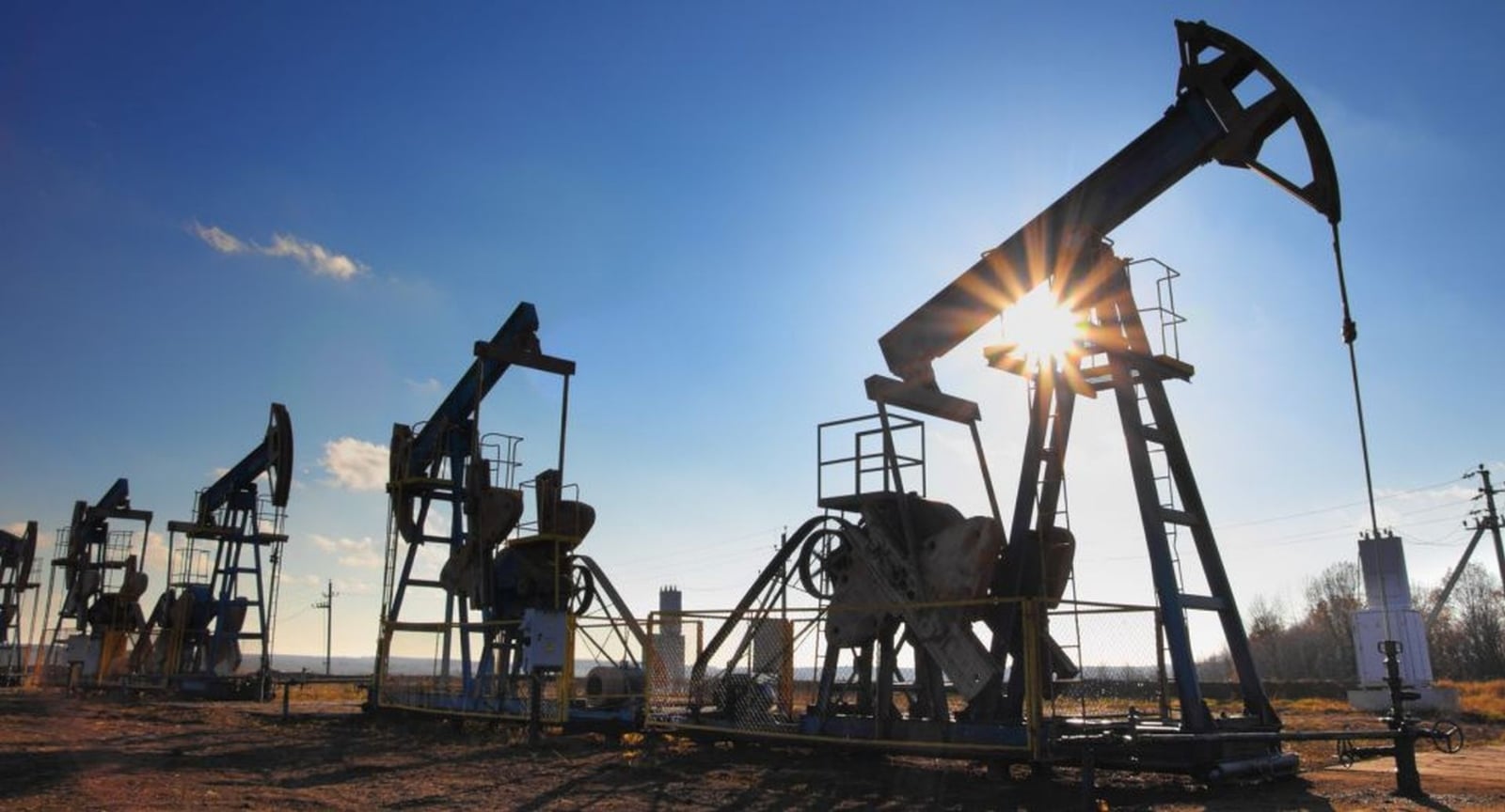 PINGUINOS-DE-PETROLEO-DIC-2018