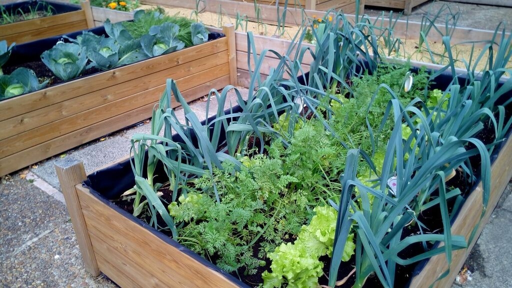 Huerto-Jardineria-Remedios_caseros-Como_hacer_374223928_114058611_1024x576