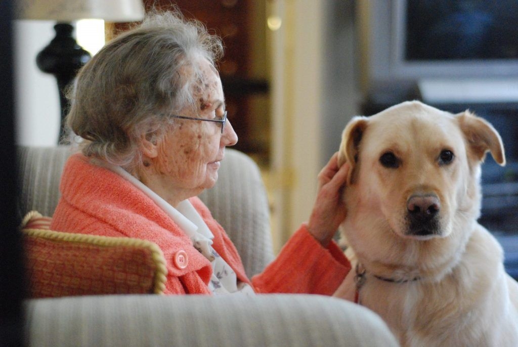 Dog-therapy-for-the-elderly-1024x686