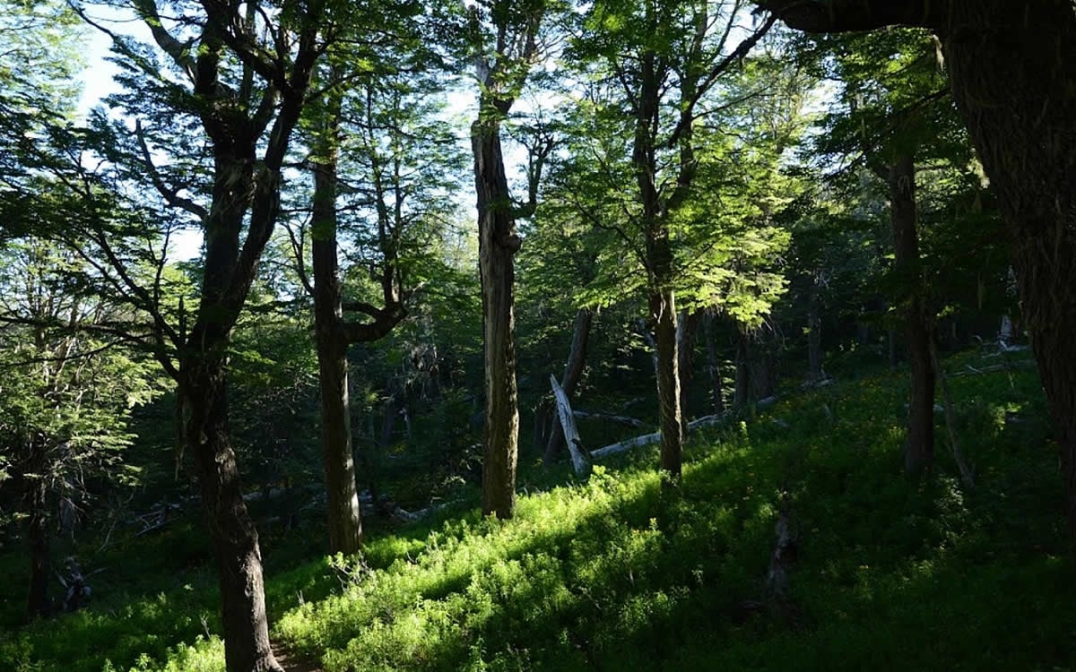 refugio-neumeyer-3