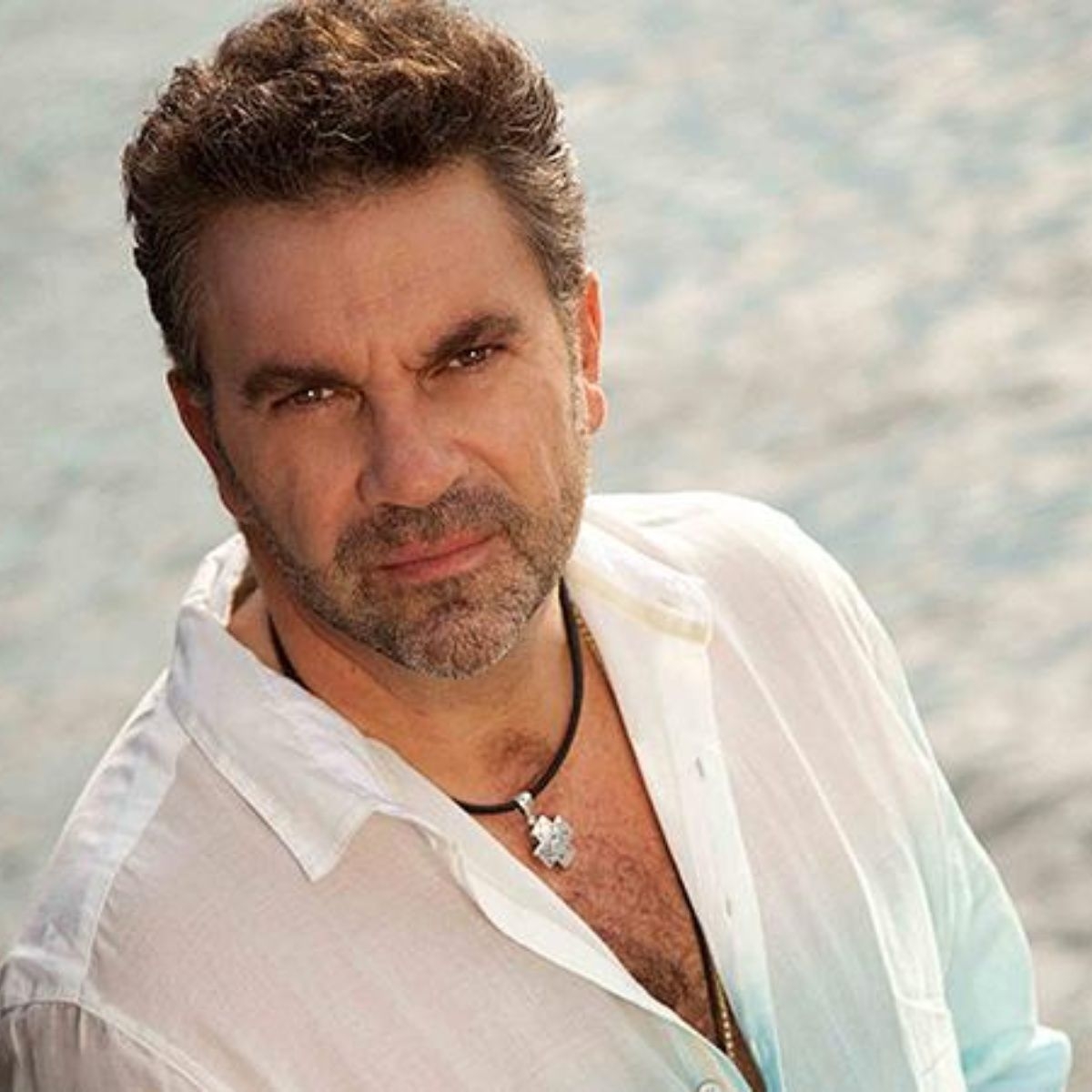 t-800-x-480-manuelmijares-t_crop1543376839264.jpg_423682103