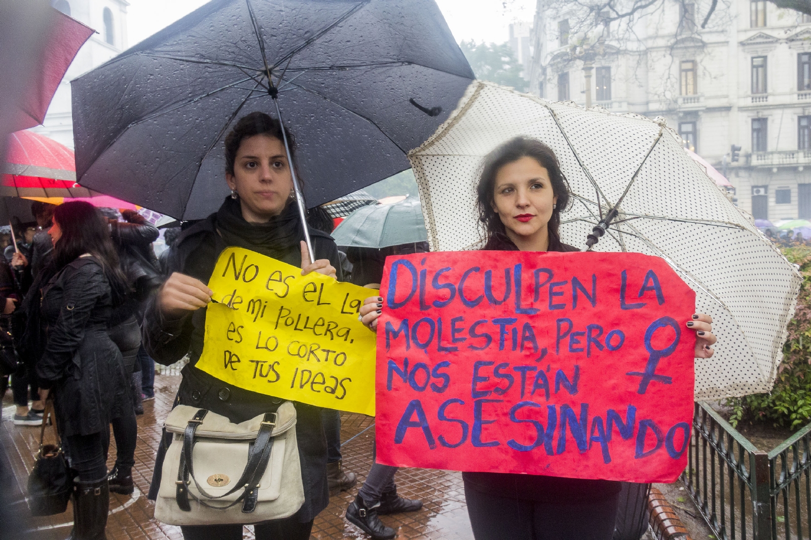 MG_9510-copia