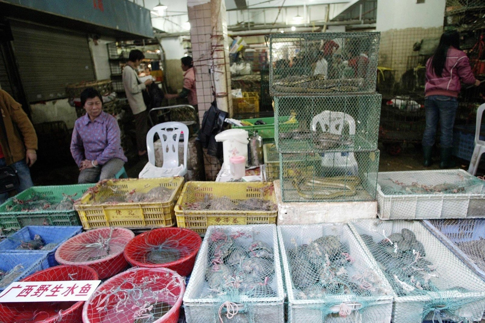 mercado portada
