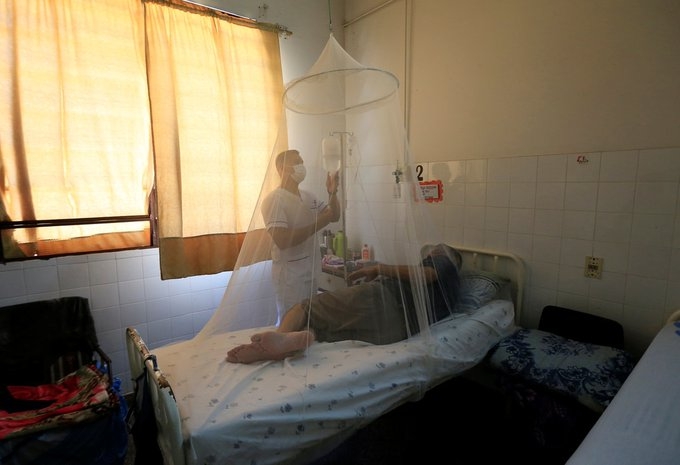 dengue 1