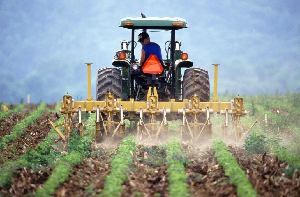 PRINCIPAL-PROBLEMA-JOVENES-AGRICULTORES-1030x678