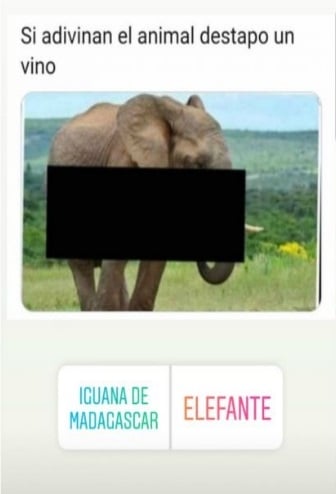 cande 2
