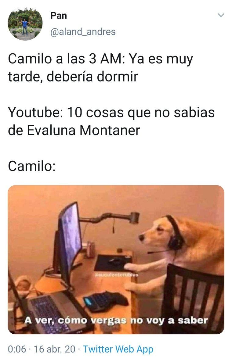 camilo33