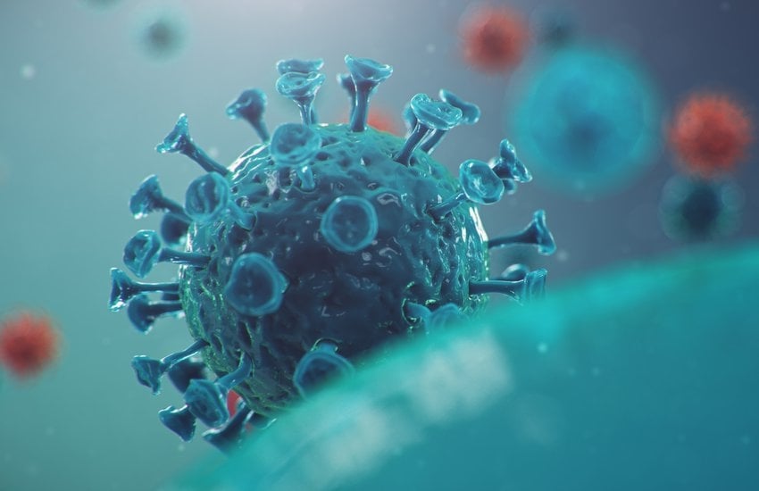 coronavirus_2.d2bb2d53.fill-850x550