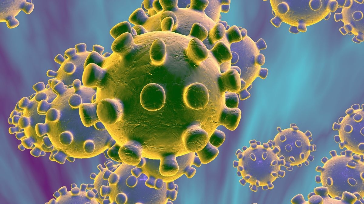 coronavirus_141