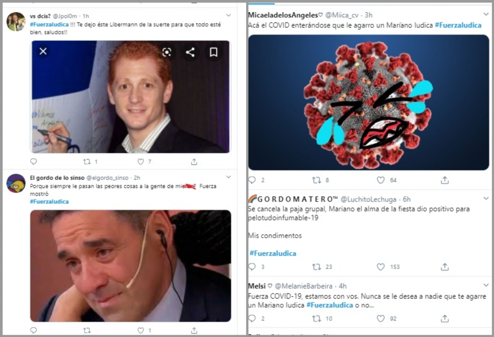 fuerzaiudica2