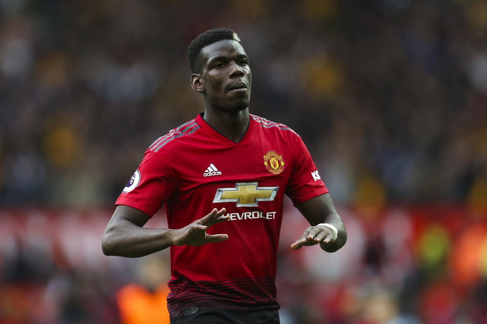 pogbs