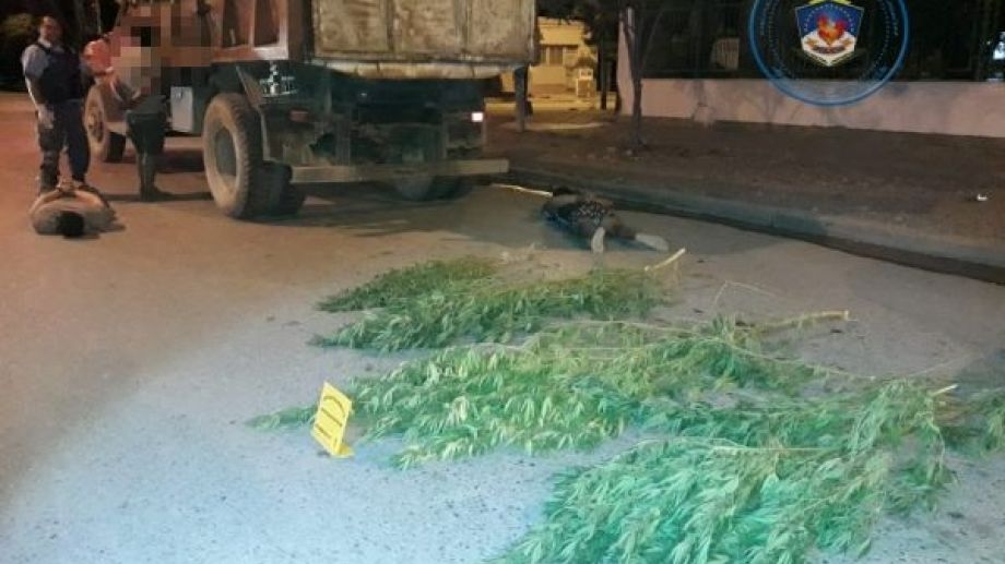 camion-con-marihuana