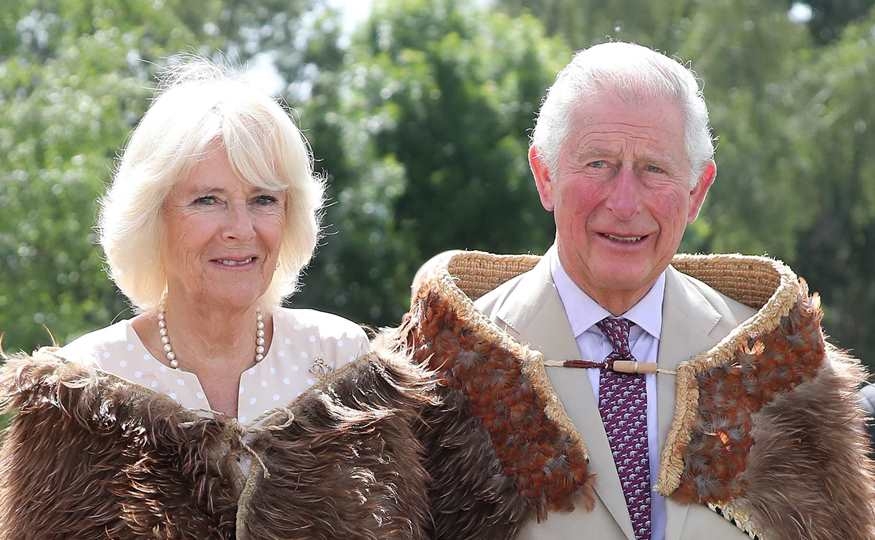 carlos-y-camilla_59dd0958_875x540