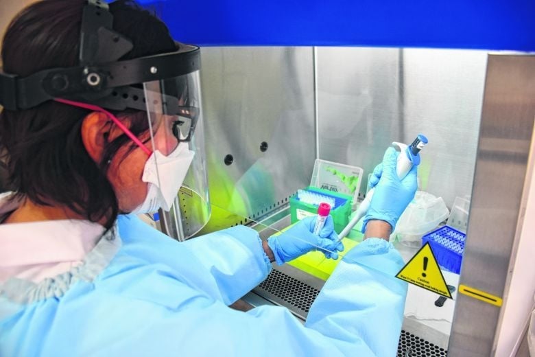 laboratorio