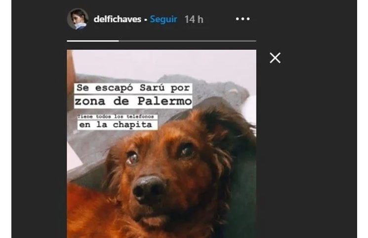 paula-chaves-dos