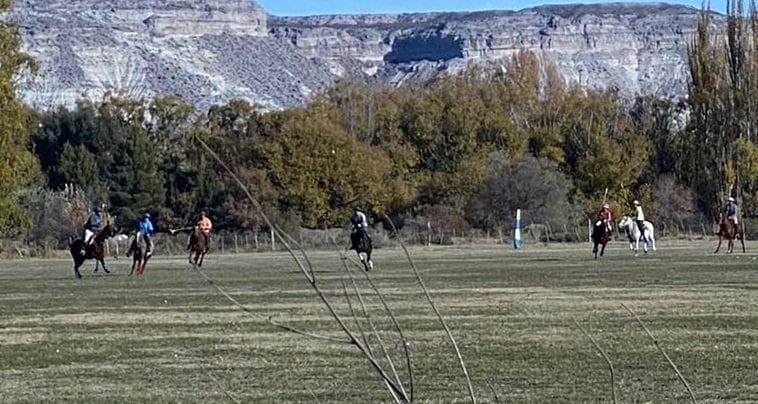 Polo2