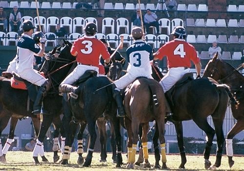 Polo4