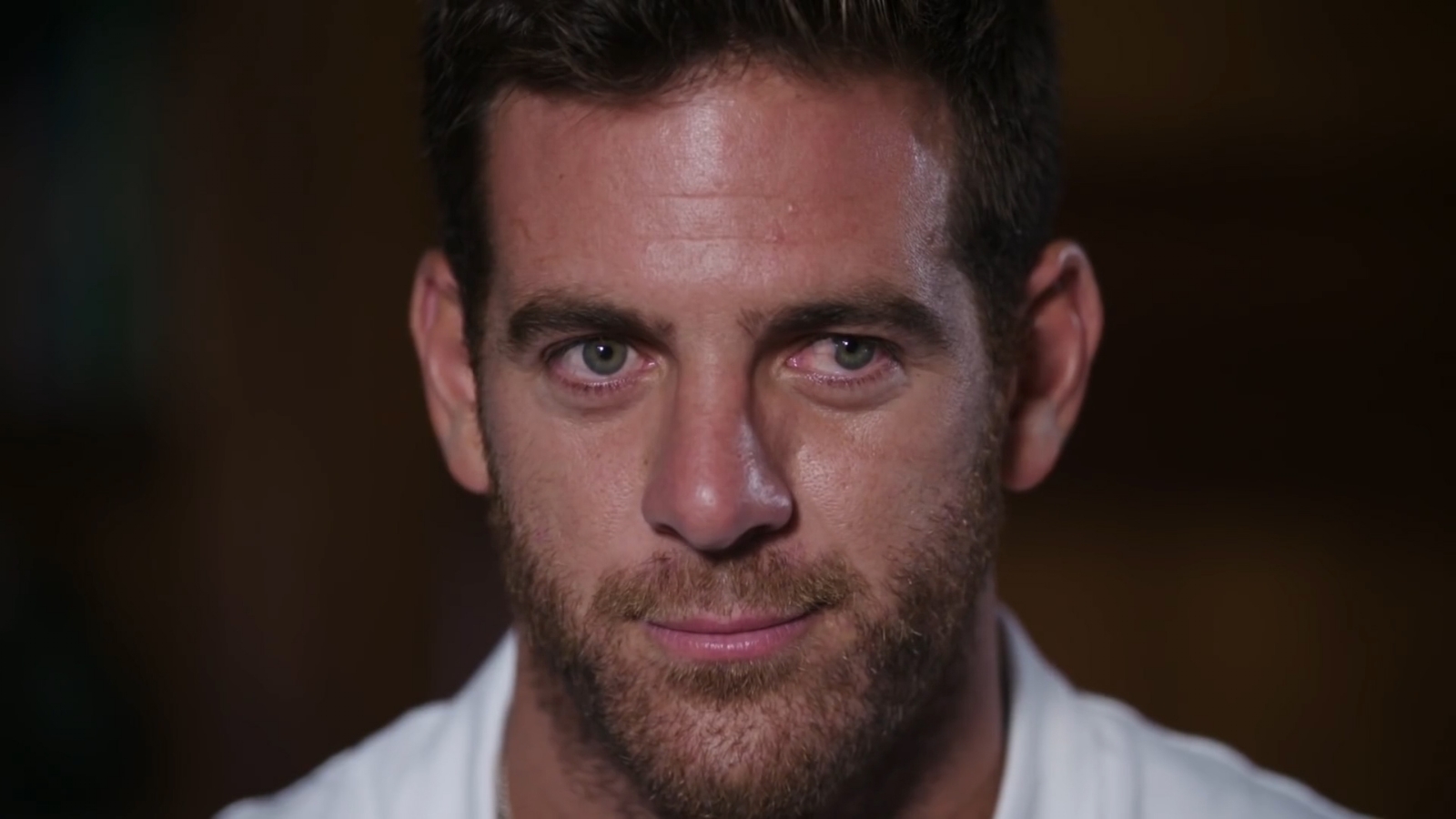 t_735640377e764991b0d144fc6efbd1ad_name_Juan_martin_del_potro_4