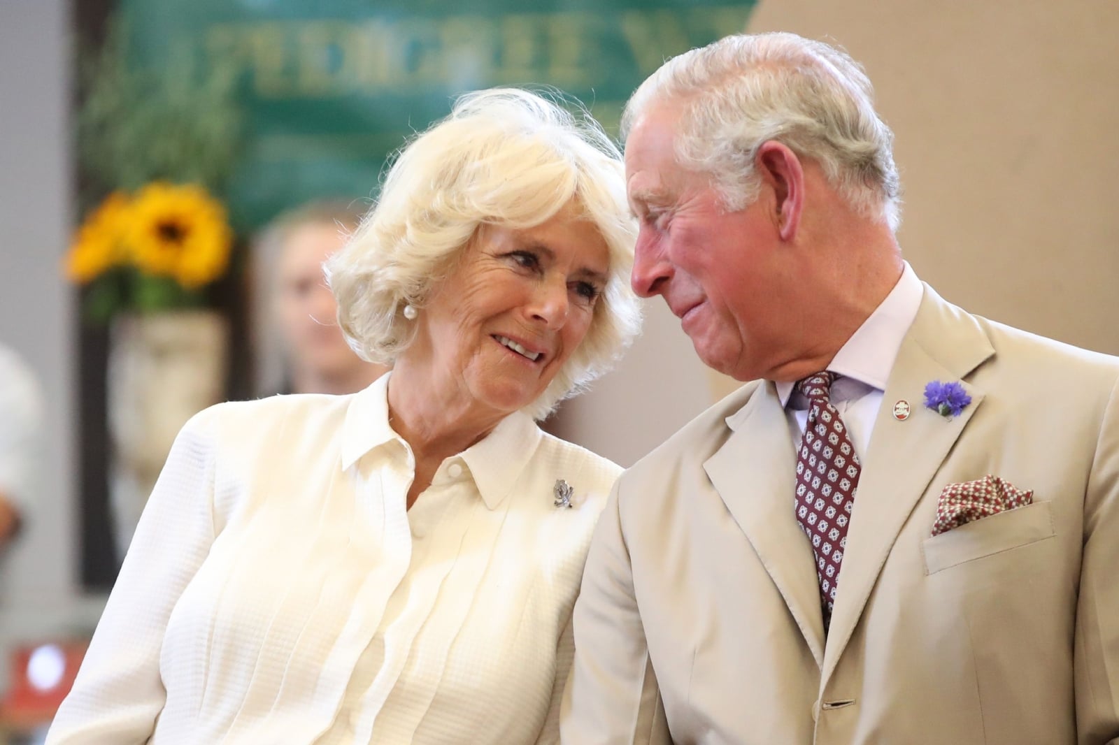 prince-charles-prince-of-wales-and-camilla-duchess-of-news-photo-1589384070