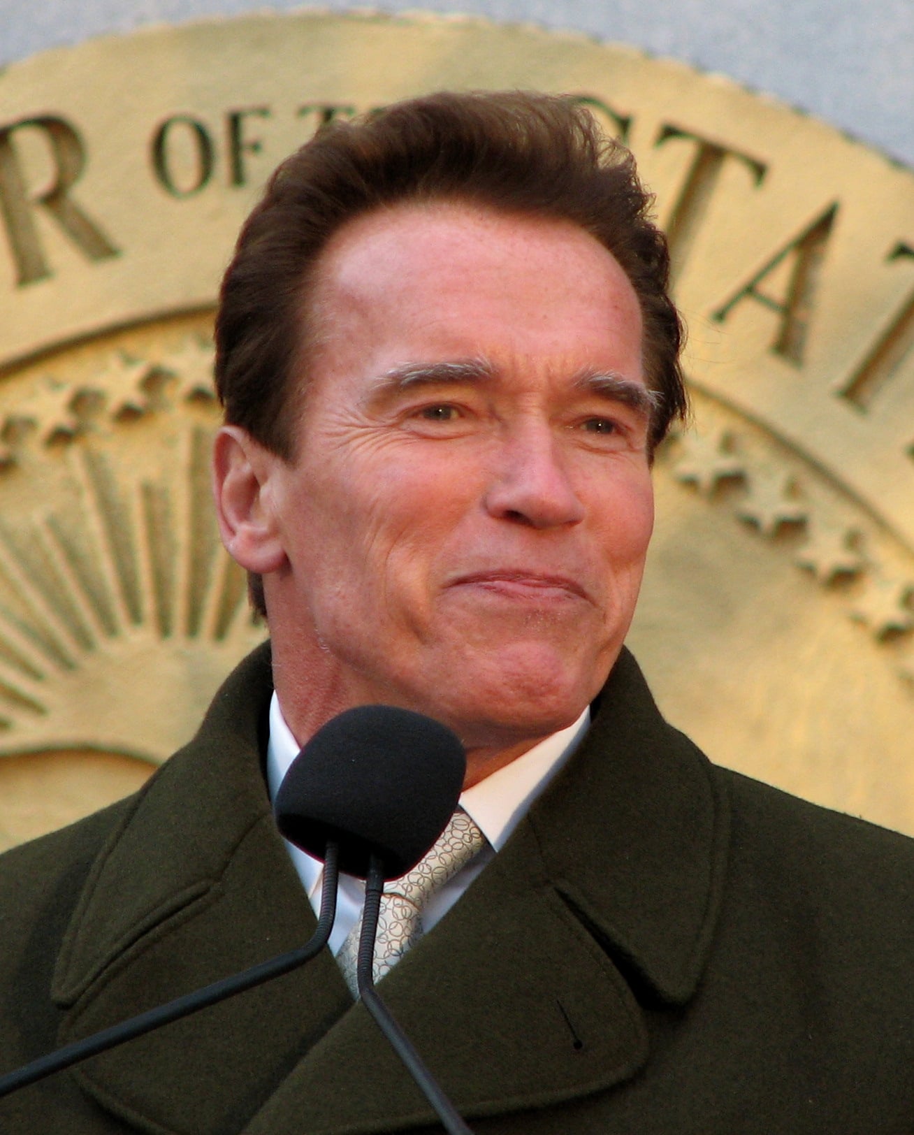 Arnold_Schwarzenegger_speech