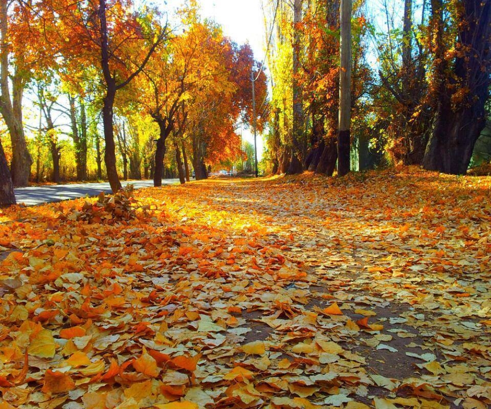 san-rafael-otoño