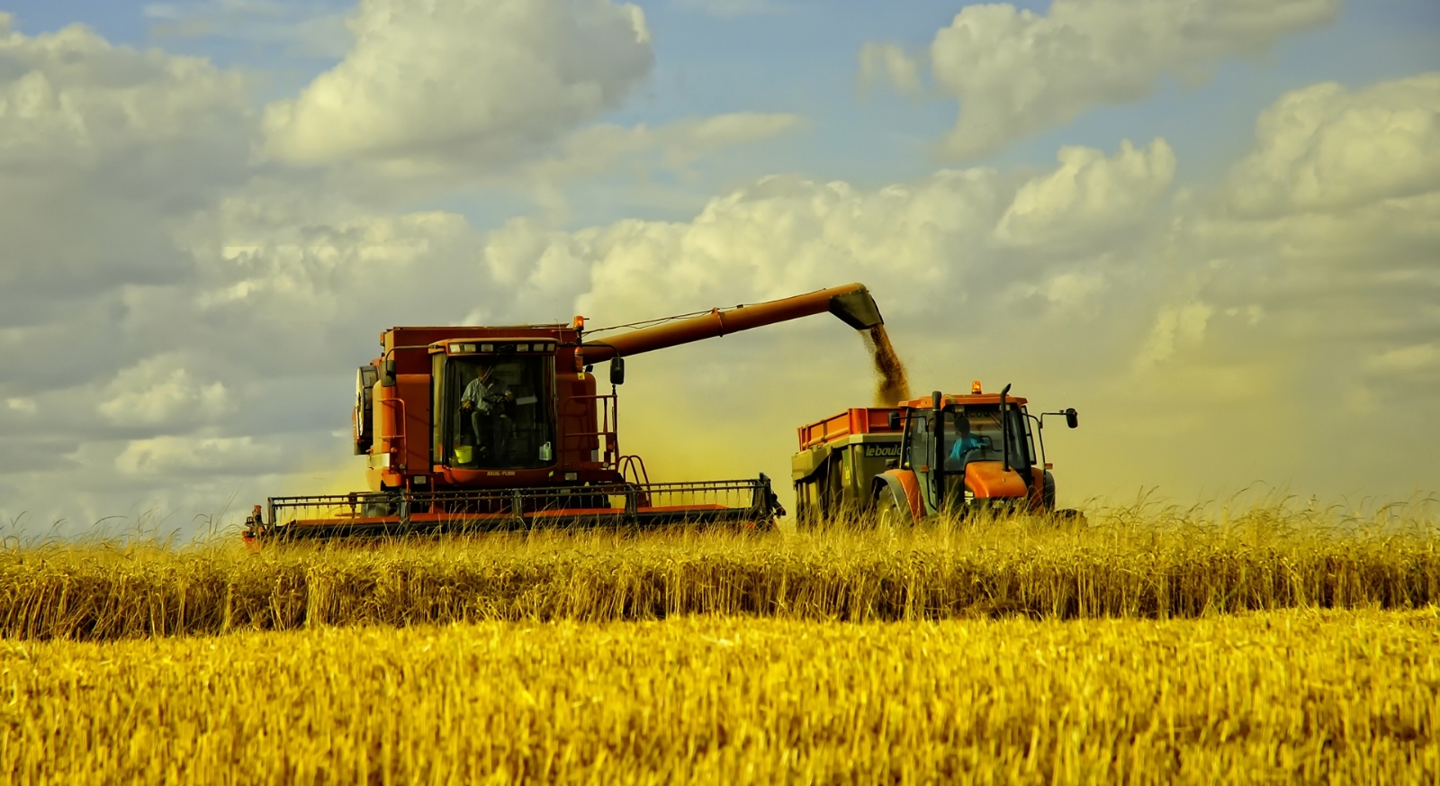 campo-argentino-4