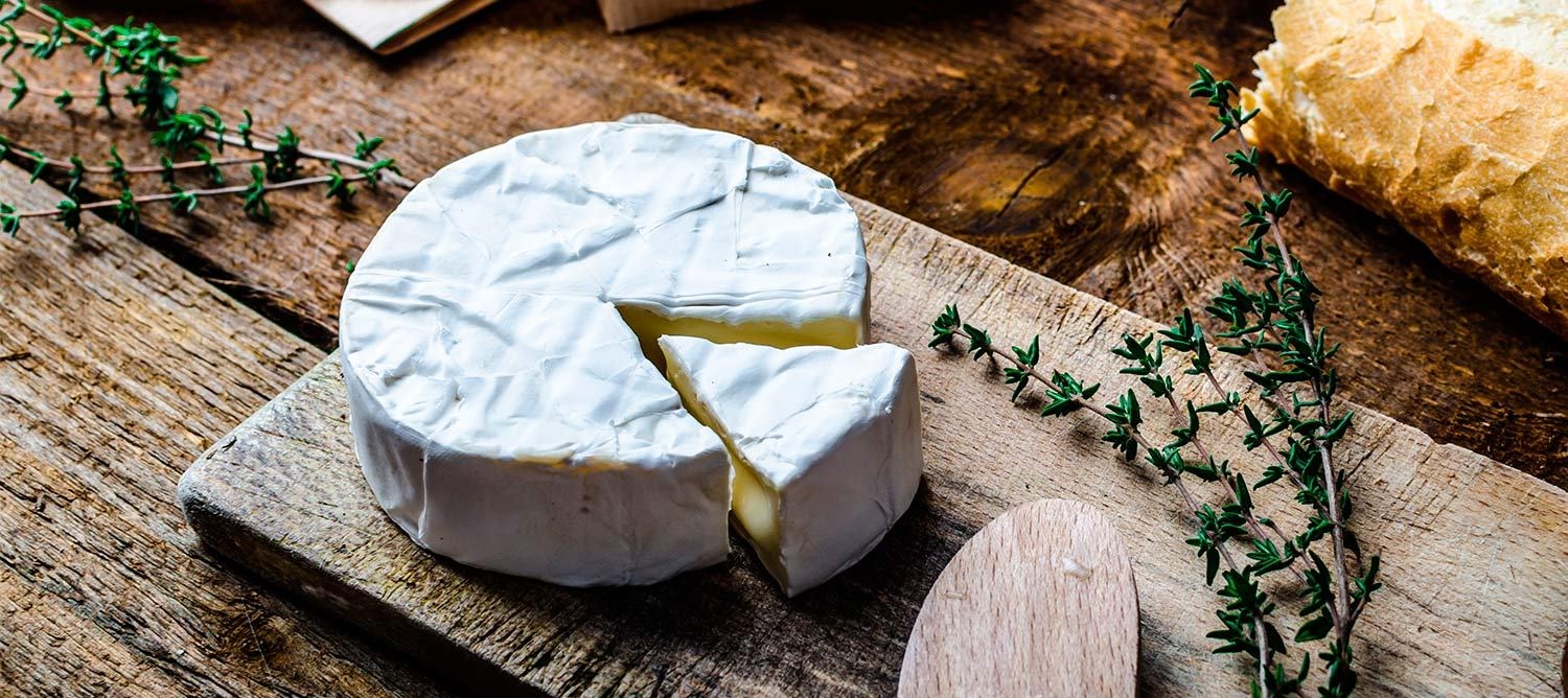 historia-queso-camembert-europa