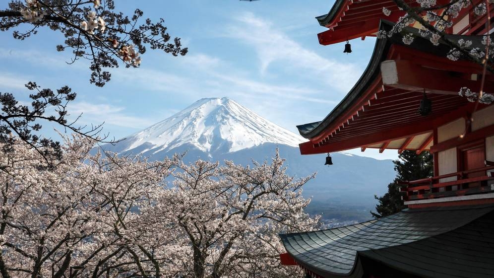 japon-podria-pagar-a-los-turistas-para-que-visiten-el-pais-este-verano
