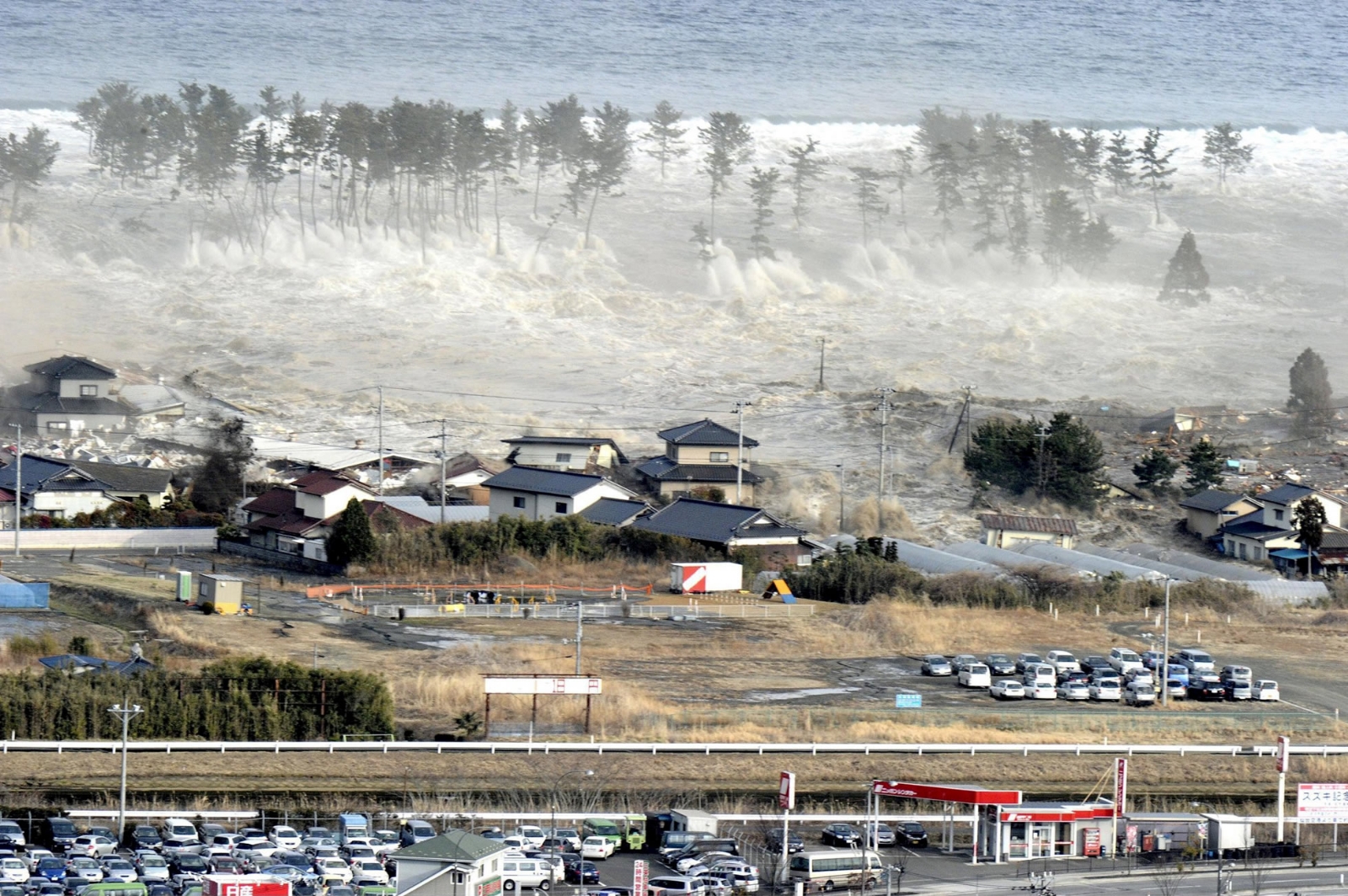 tsunami portada