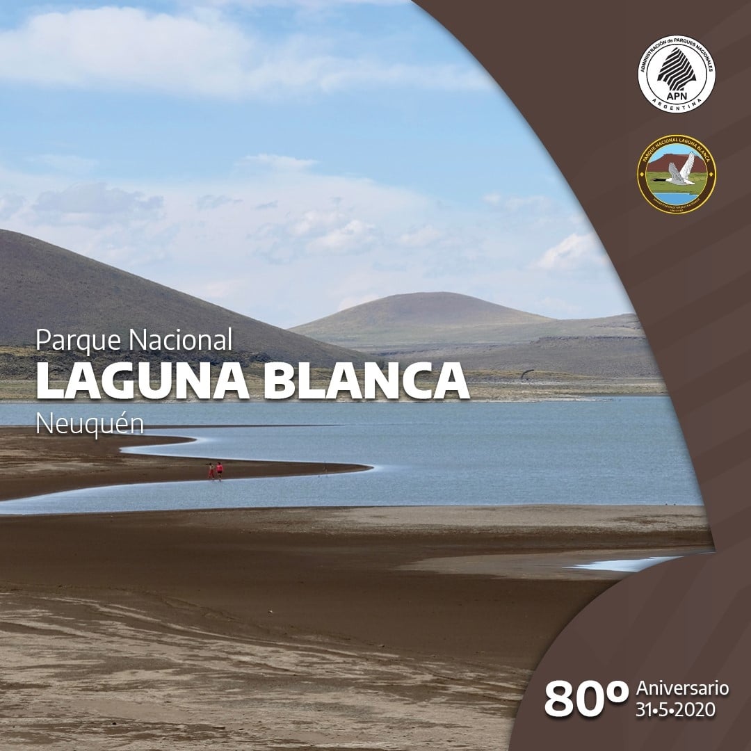 thumbnail_80º Aniversario PNLB -31may20 (1)