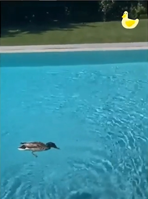Sin título